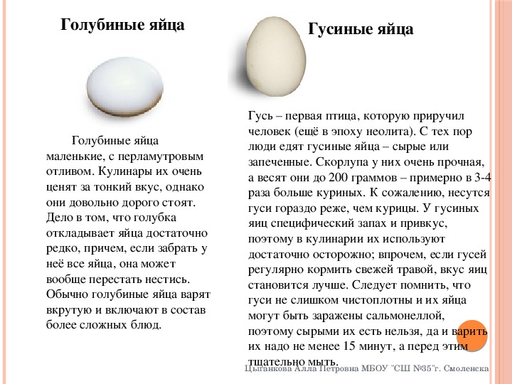 Гусиные яйца: польза и вред для организма | польза и вред