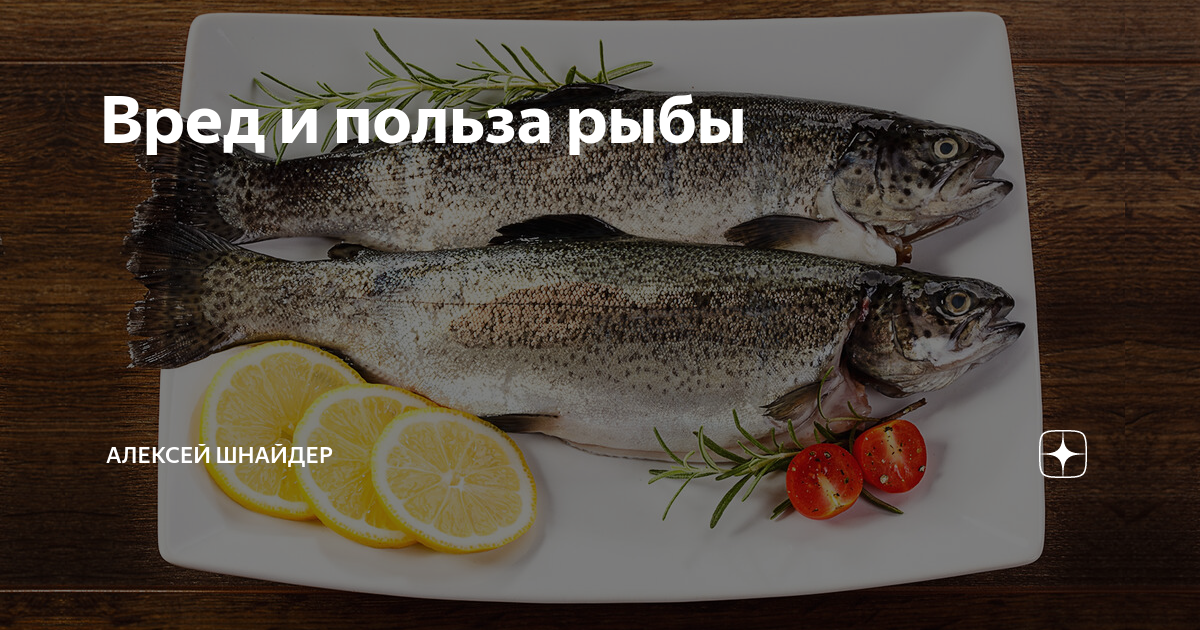 Нежирная рыба для диеты, список подходящих сортов