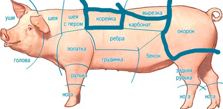 ᐉ постная свинина: витамины, полезные свойства - zooon.ru