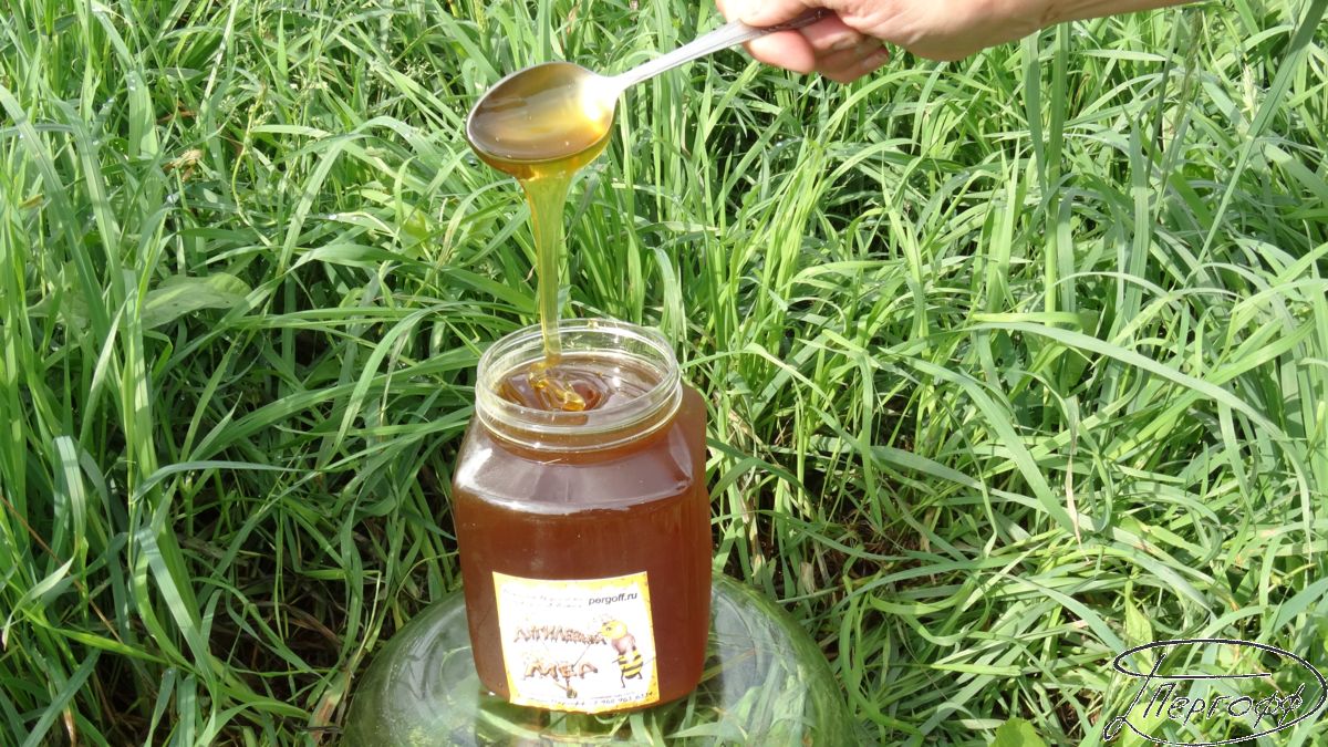Дягилевый мед: полезные свойства, противопоказания, как отличить