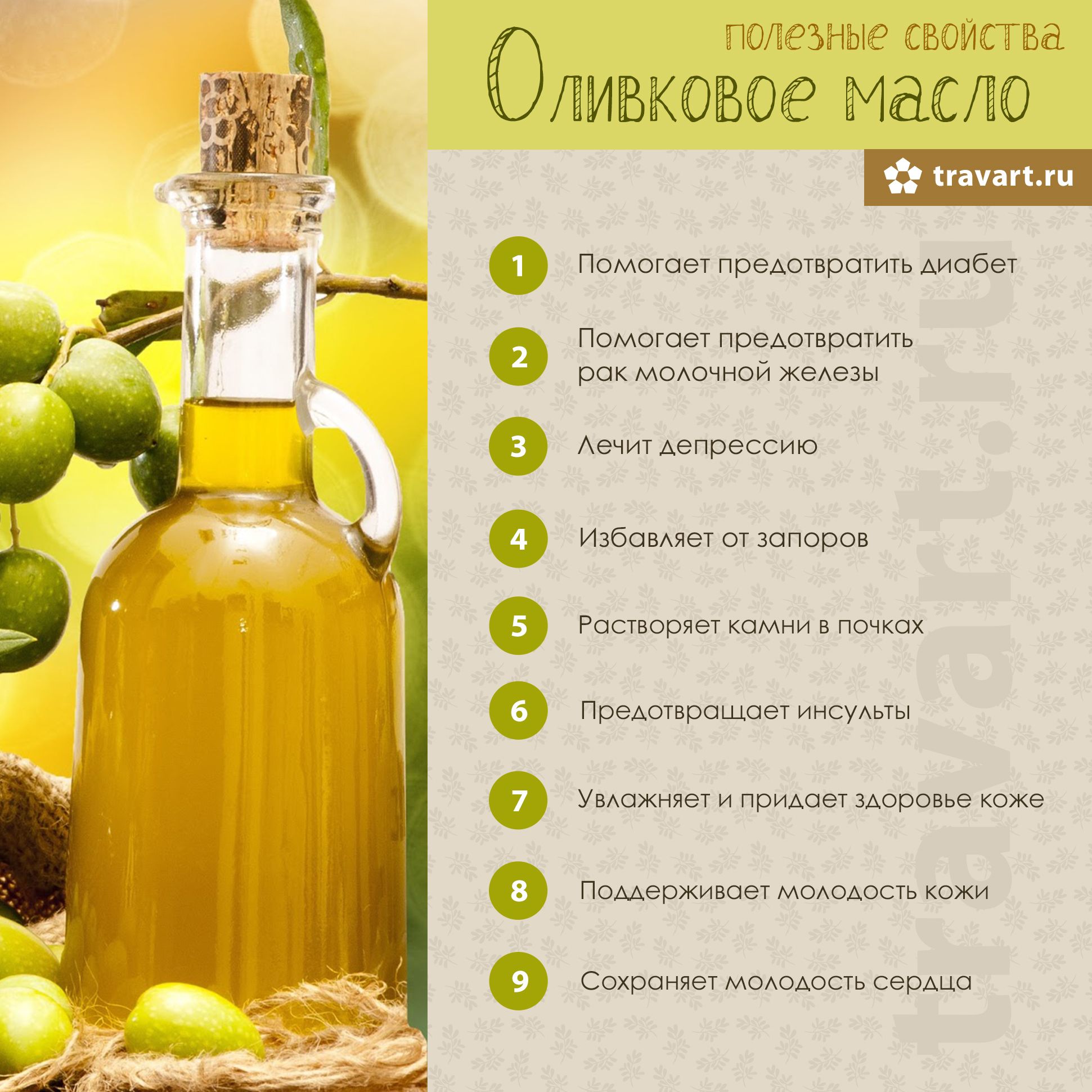Оливковое масло: польза и вред продукта для организма человека