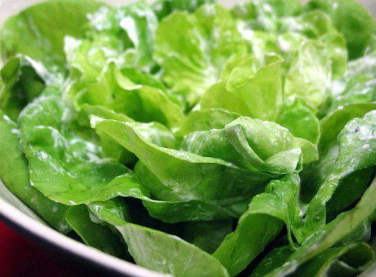 Польза и вред салата из водорослей чука