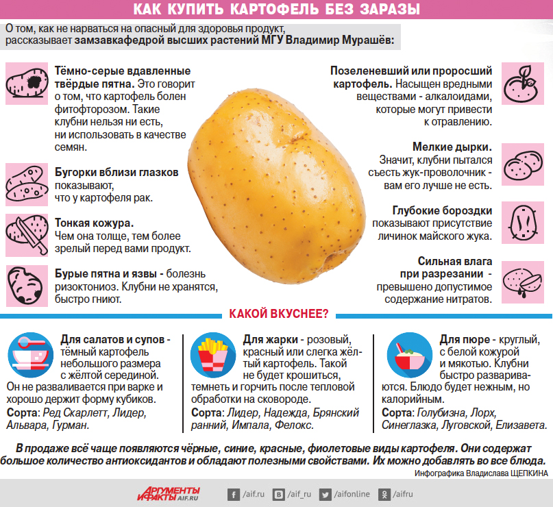 Картошка в мундире калорийность на 100. полезные и вредные свойства. калории в картошке разных сортов