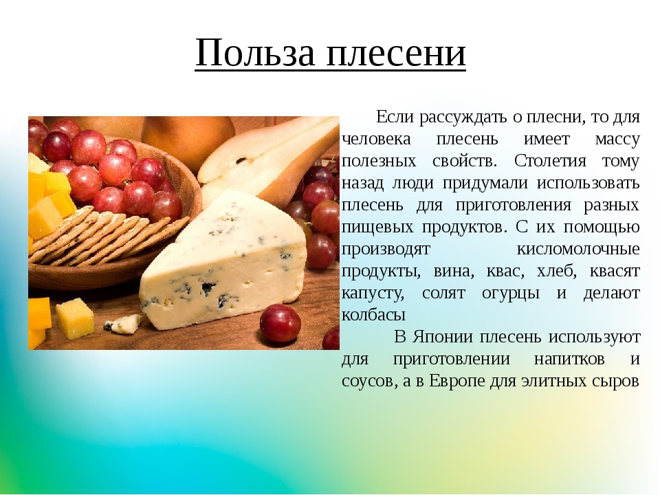 Польза, вред и калорийность колбасного сыра :: syl.ru