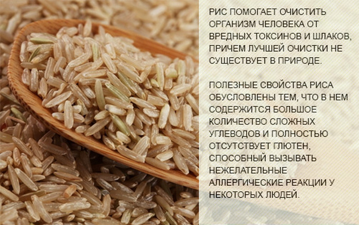 Рис: полезные свойства и возможный вред