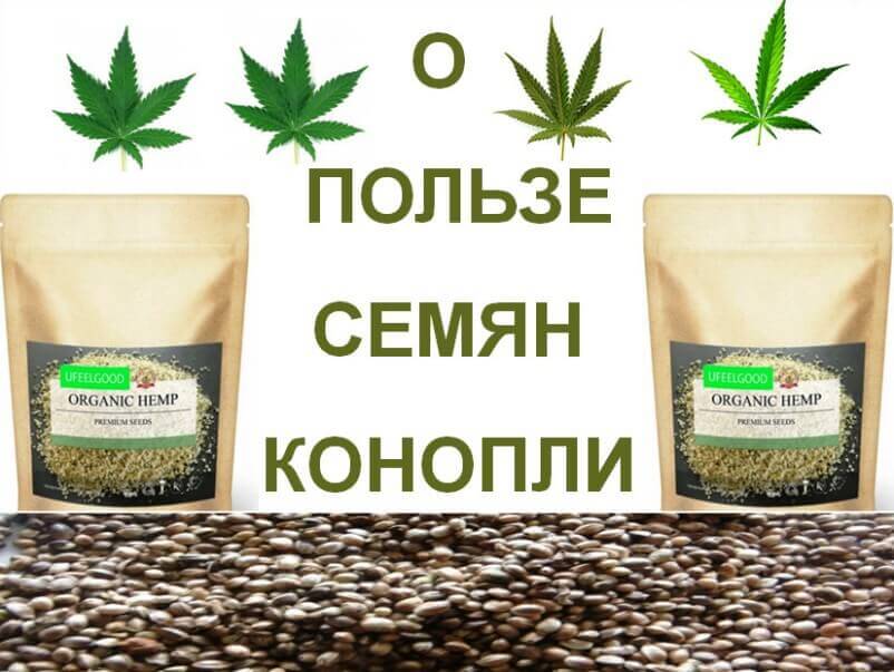 Семя конопли свойства марихуана где купить тюмень
