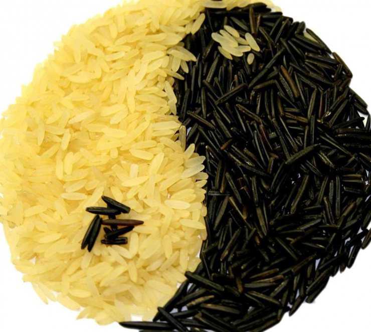 Черный рис: польза и вред, как приготовить | пища это лекарство