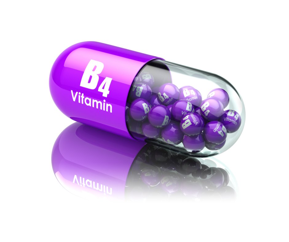 Холин (витамин в4) – функции, свойства, роль в организме
