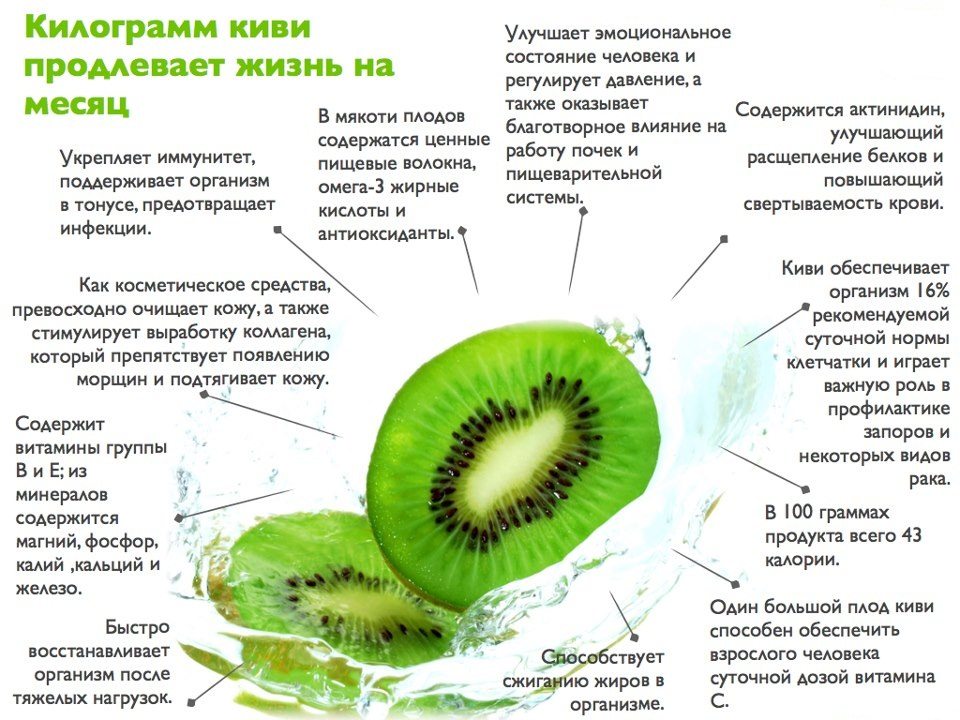 Киви - это фрукт или ягода? описание, употребление в пищу, польза и вред :: syl.ru