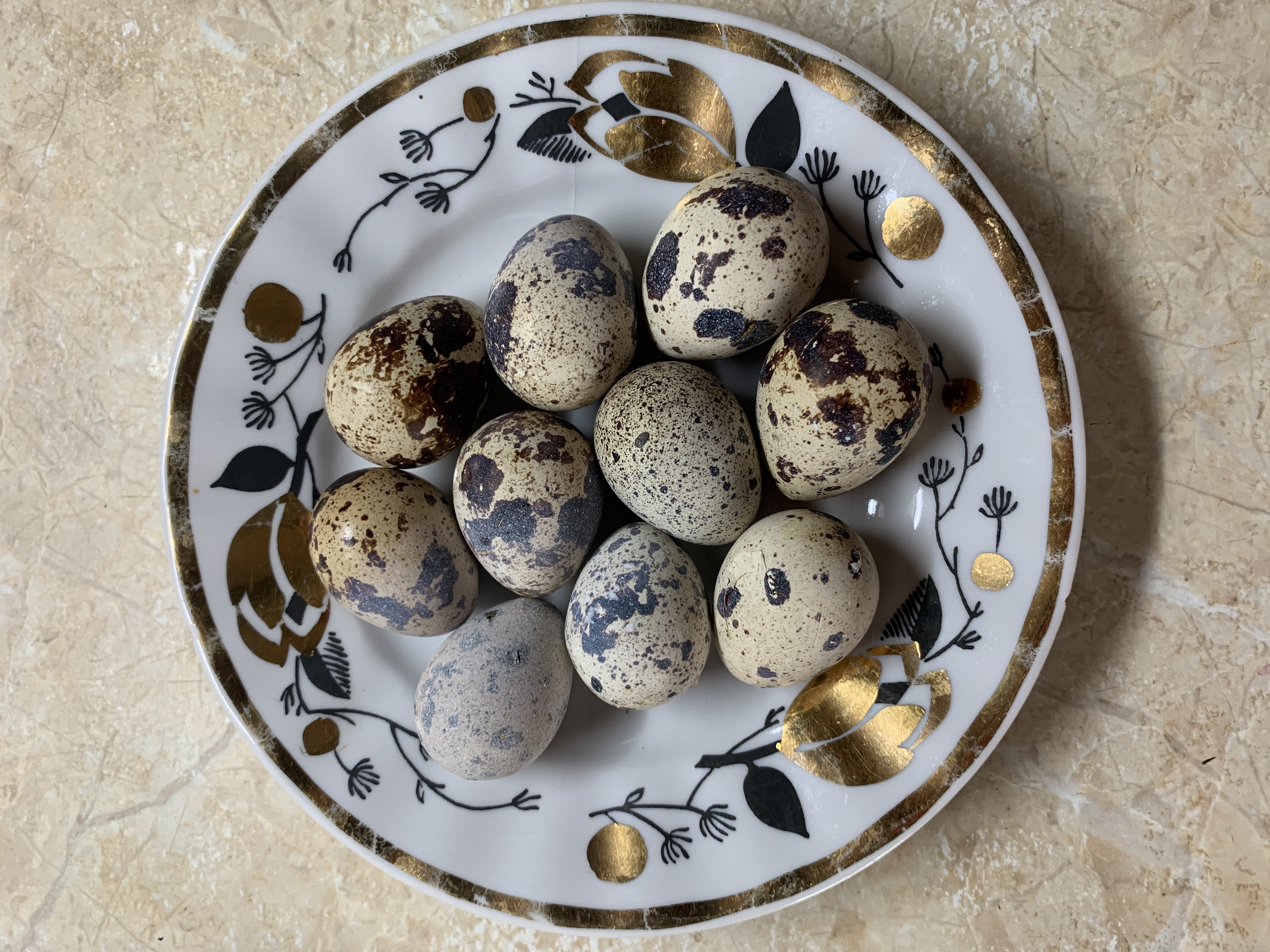 Перепелиные яйца: польза и вред, калорийность, употребление