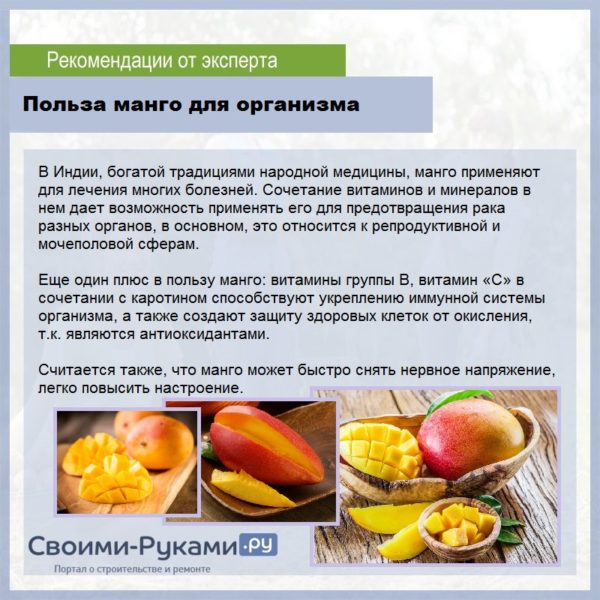 Калорийность манго разных видов и способов приготовления