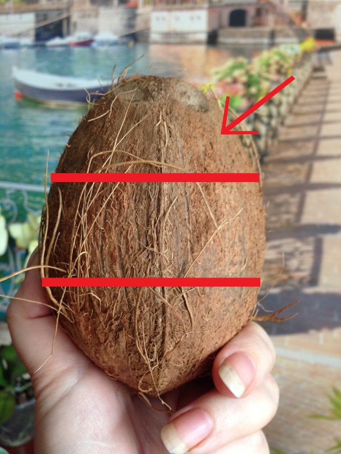 Внешне кокосы могут казаться абсолютно одинаковыми, однако при выборе этих орехов надо соблюдать целый ряд правил Некачественный плод будет сухим внутри, а насладиться его знаменитыми вкусовыми свойствами будет невозможно