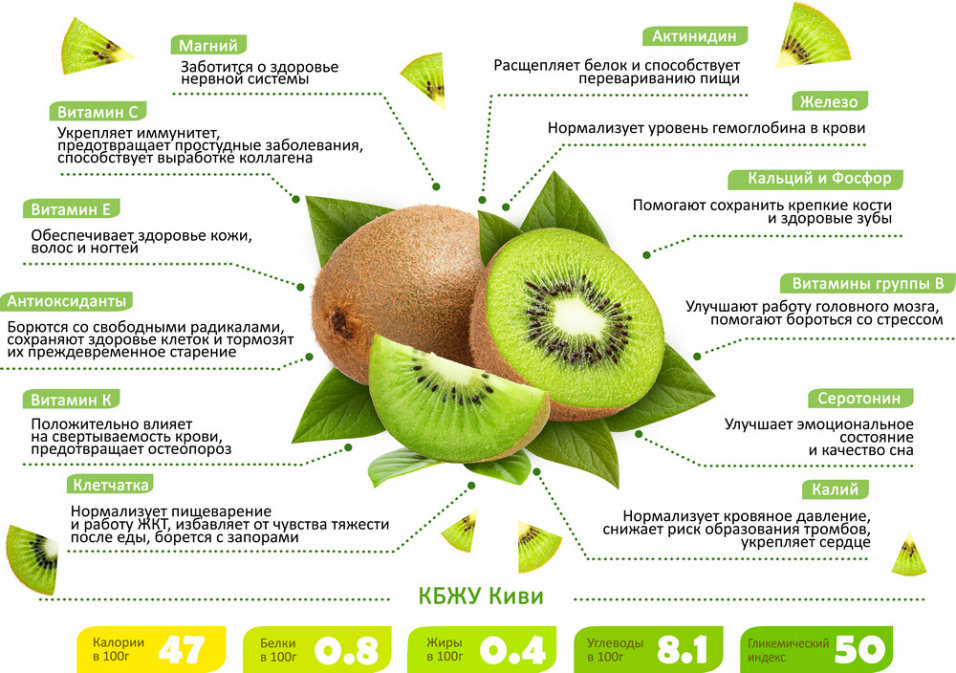 Киви - польза и вред фрукта. состав, калорийность, содержание полезных веществ. как правильно едят киви, рецепты