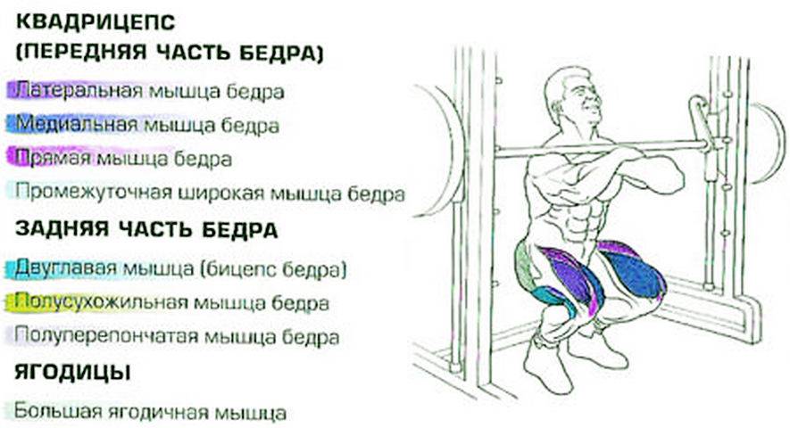 Болгарские приседания: техника, виды, советы тренеров (фото)
