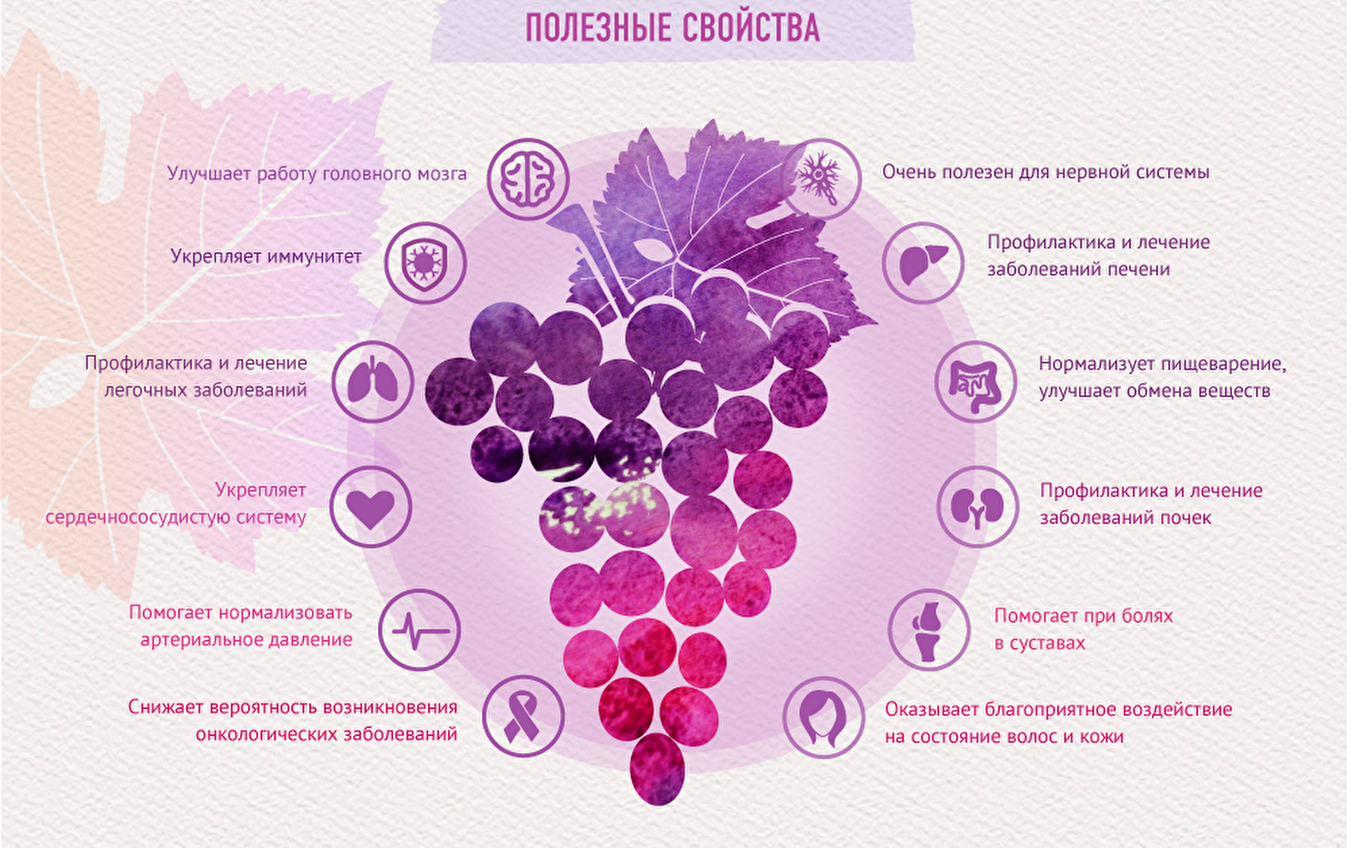 Полезные свойства винограда, пищевая ценность и химический состав, противопоказания, условия хранения
