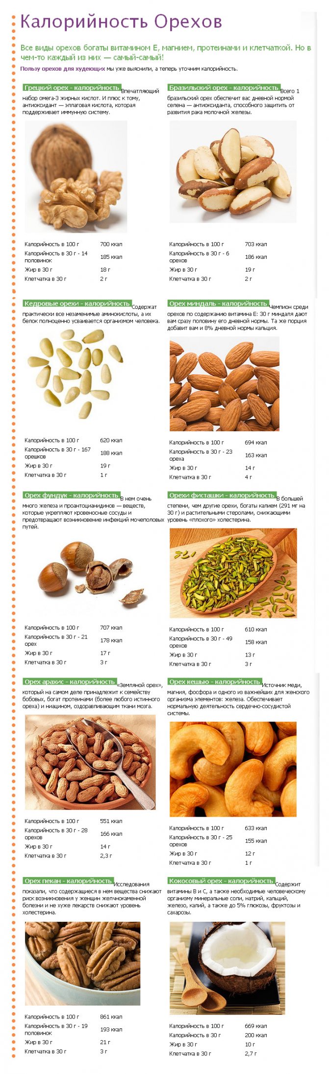 Фундук — описание, полезные свойства и противопоказания, состав, калорийность, выращивание