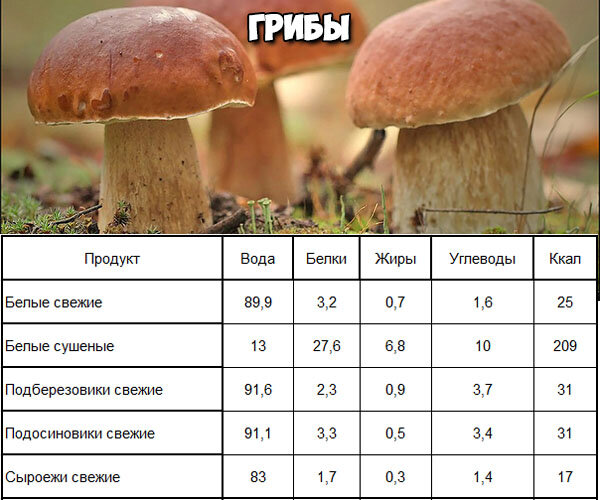 Соленые грибы: калорийность, польза и вред организму, рецепты в домашних условиях