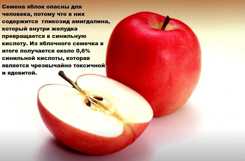 Калорийность яблок: сколько калорий в 1шт, в 100 грамм, подробный химический состав яблок, сколько ккал в зелёных и красных