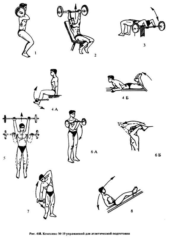 Атлетическая гимнастика: комплекс упражнений для новичков