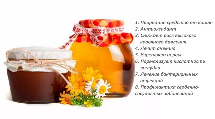 Гречишный мед: свойства, польза, рецепты и противопоказания
