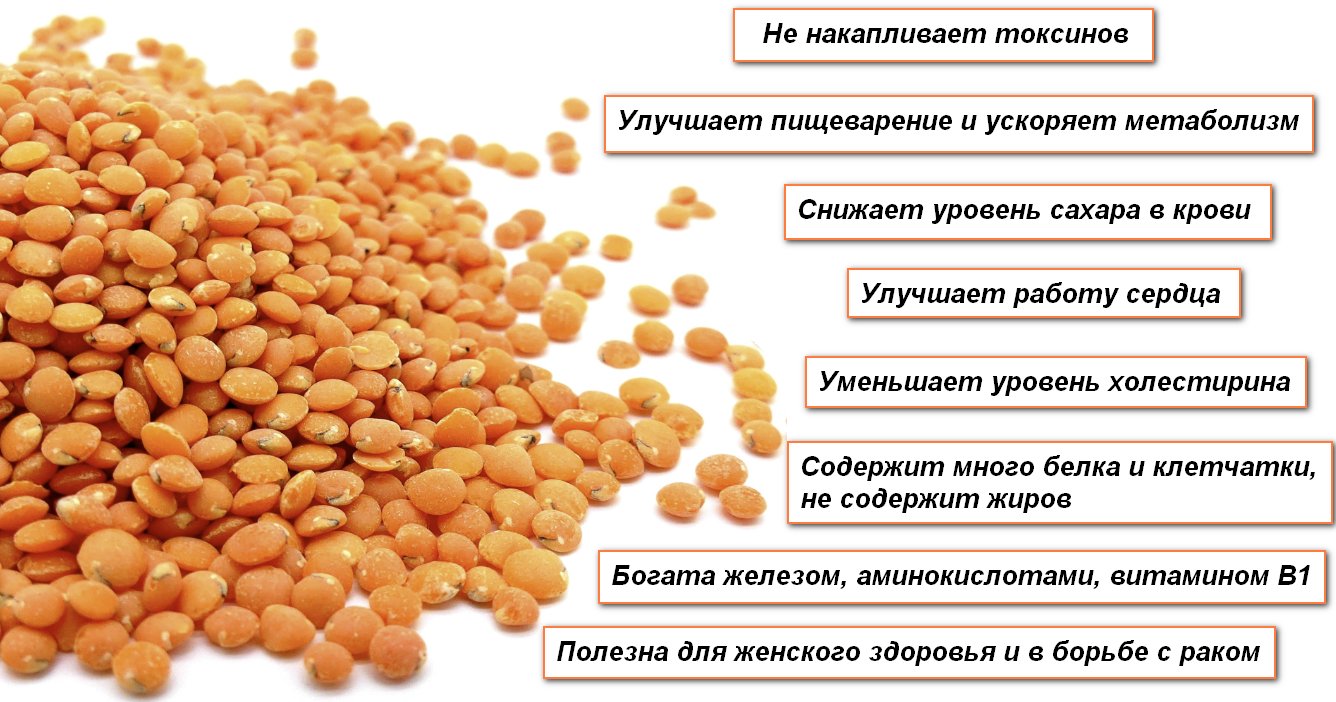 Красный рис: польза и вред для организма, как использовать его в качестве средства для похудения и другие аспекты medistok.ru - жизнь без болезней и лекарств