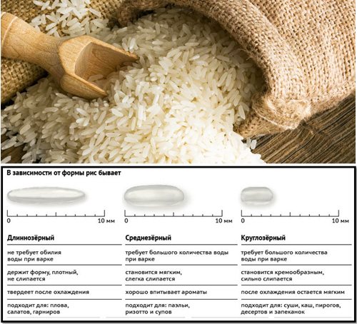 Дикий рис - полезные и опасные свойства дикого риса