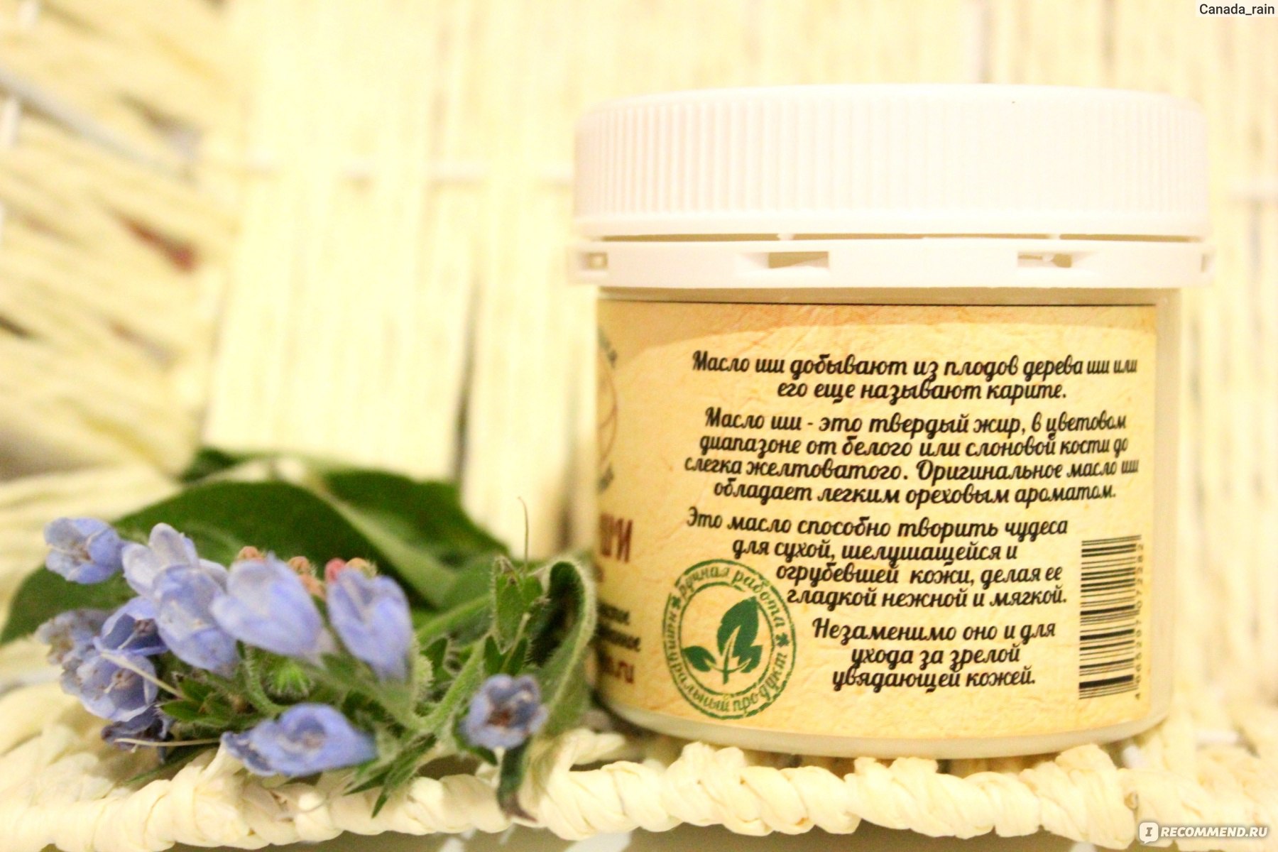 Масло ши (карите): полезные свойства, применение для волос, лица и тела, отзывы | zaslonovgrad.ru