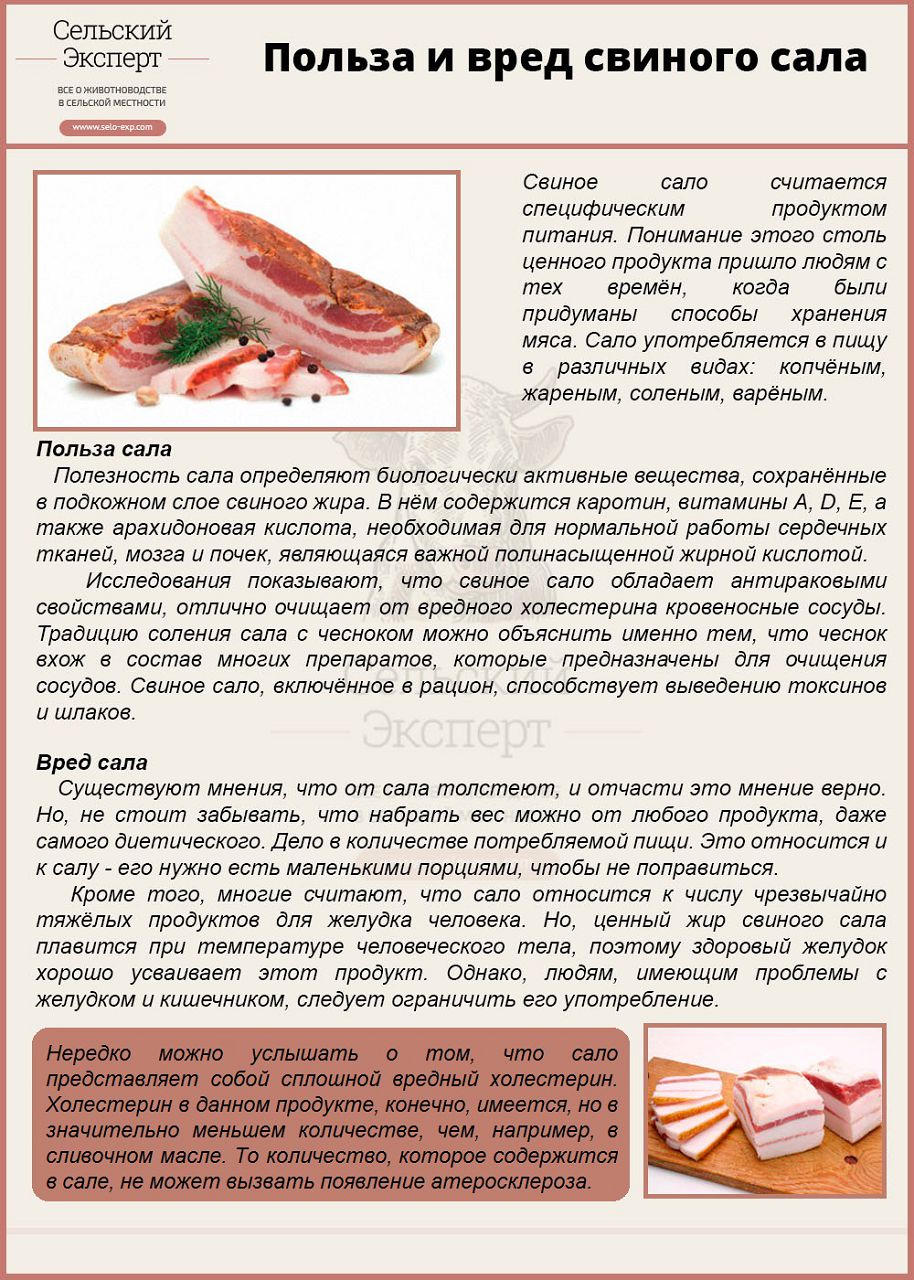 Таблица калорийности свинины (в том числе и состав бжу)