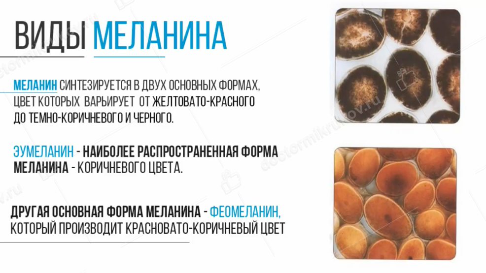 В каких продуктах содержится меланин больше всего | merilin-clinic.ru