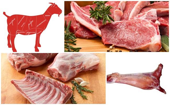 Конина: польза и вред для организма человека, калорийность мяса лошади - конская печень