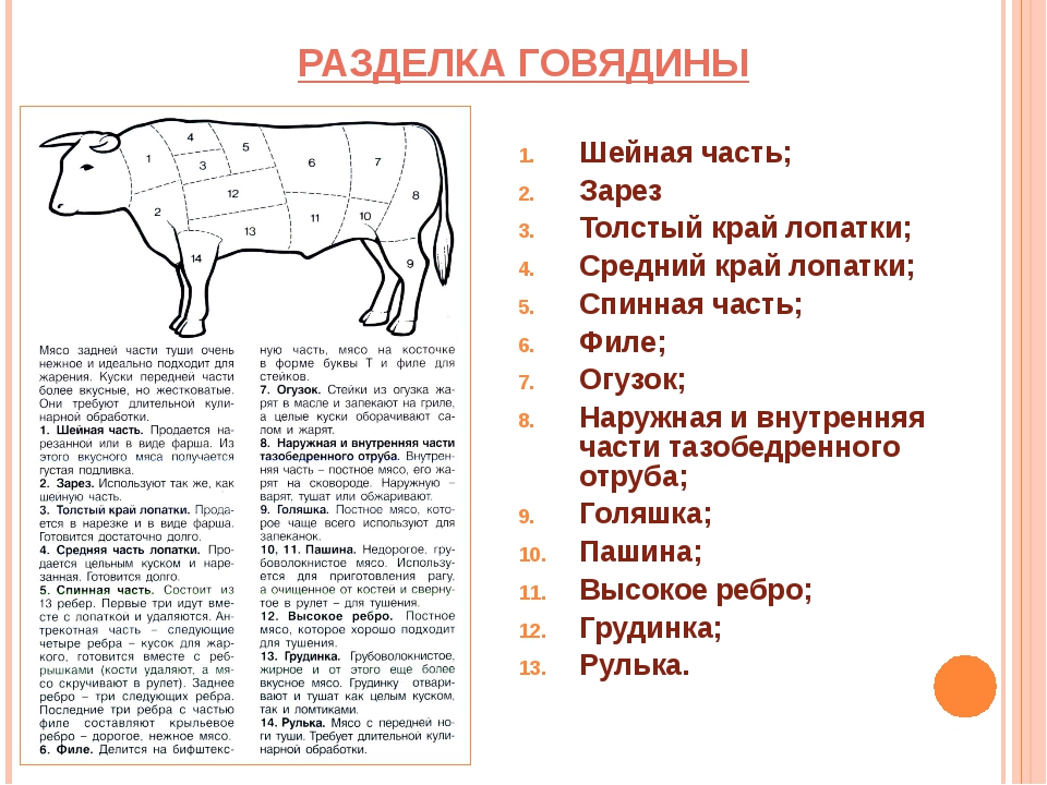 Узнайте как определить качество телятины. советы по выбору продукта из каталога на торговой платформе agro24.ru