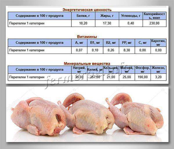 Цыпленок-бройлер филе бедра первая свежесть охлажденное - калорийность, полезные свойства, польза и вред, описание