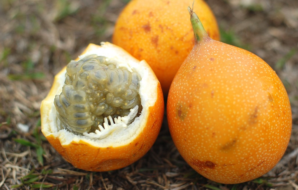 Как есть фрукт гранадилла, описание и полезные свойства