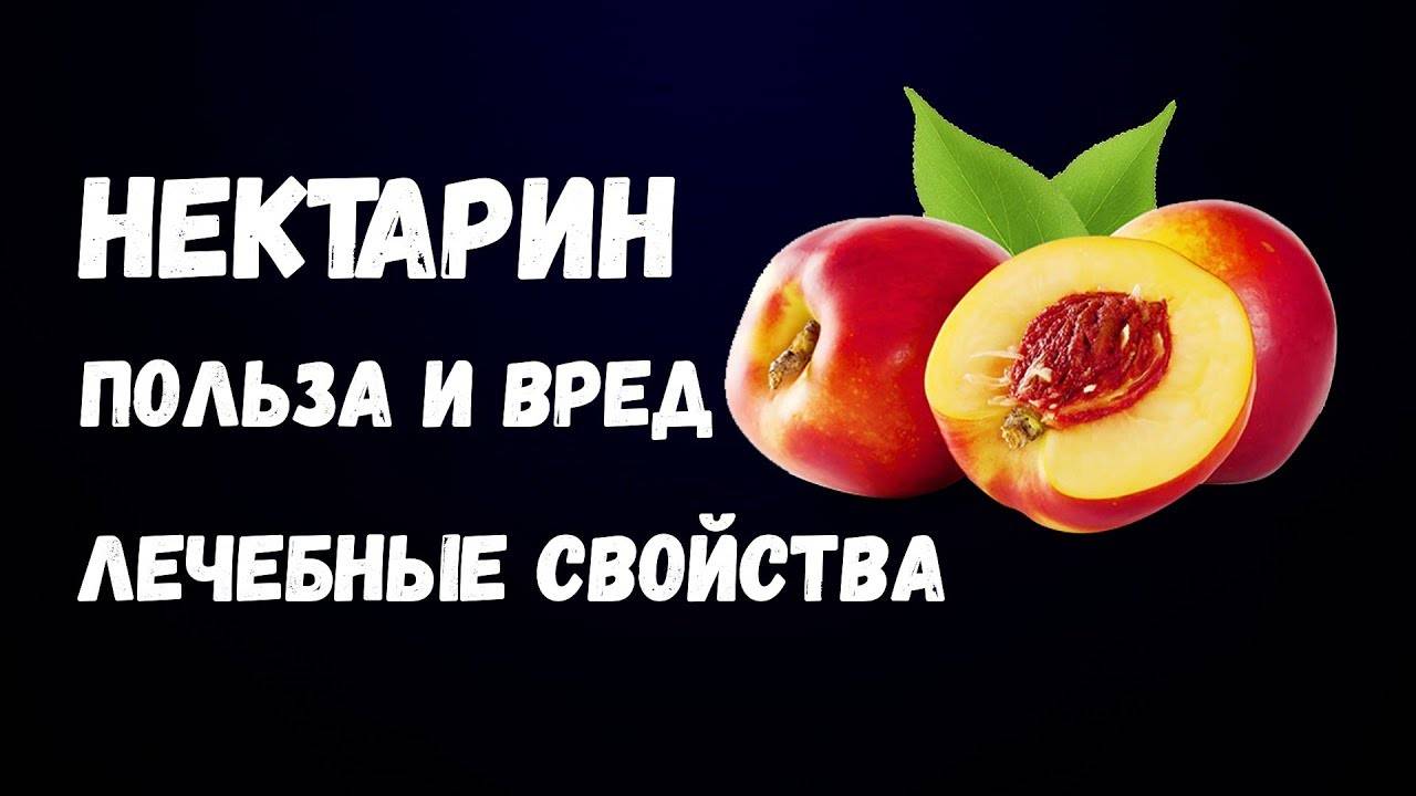 Персик: калорийность, чем полезен, свойства, какие витамины содержатся