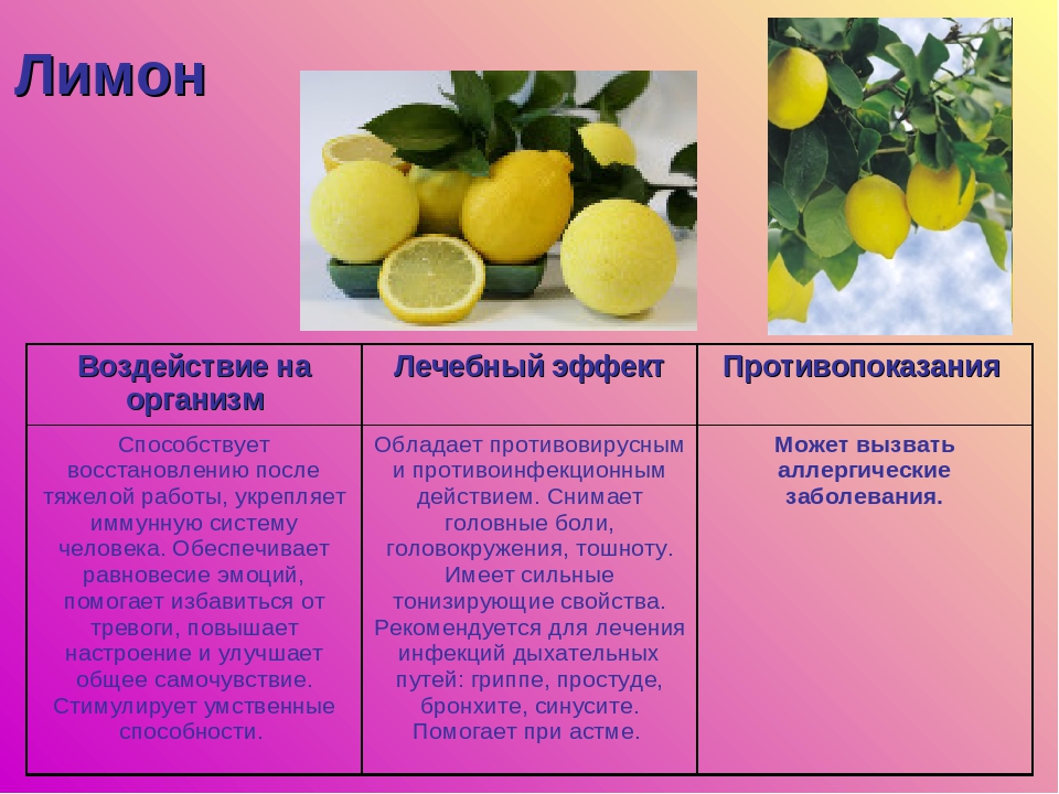 Сорта комнатного лимона как выбрать