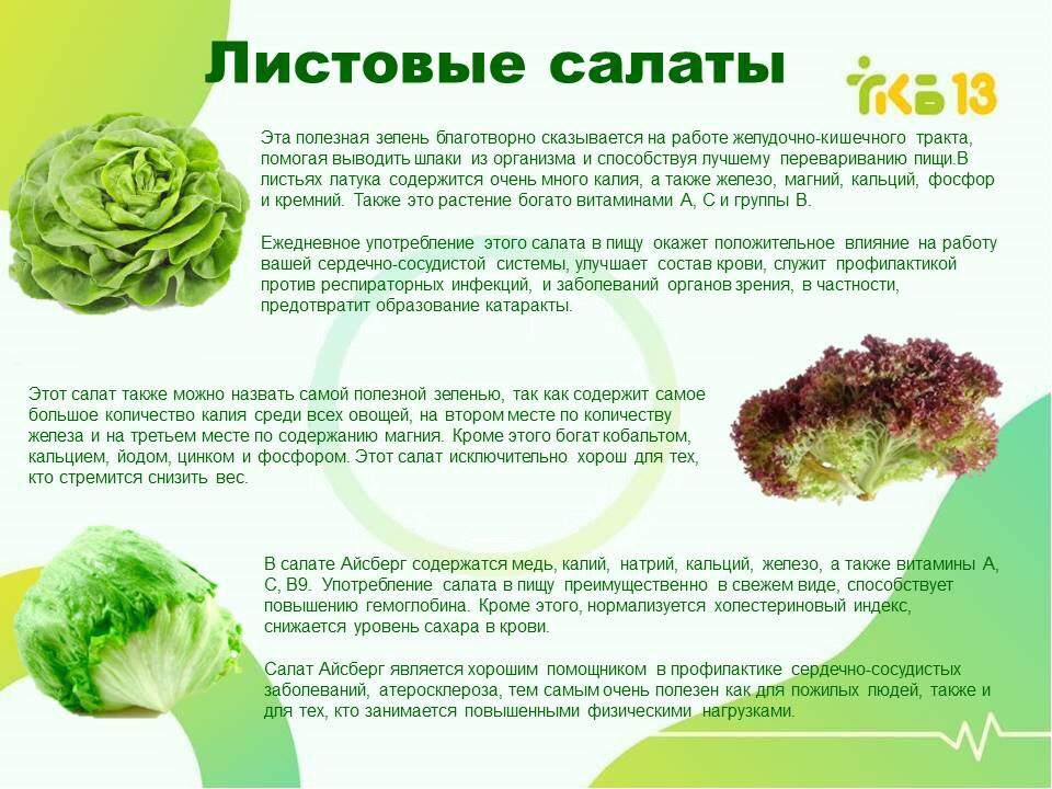 Листья салата: польза и вред для здоровья | польза и вред