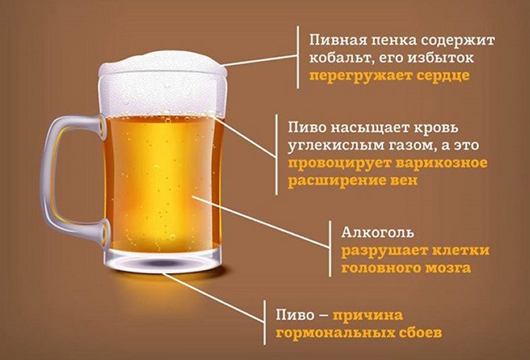 Калорийность пива разных марок в виде таблицы