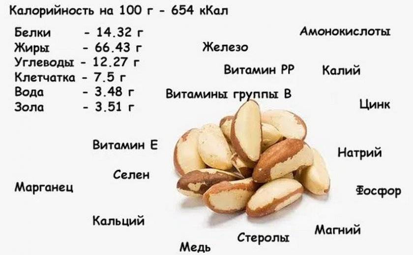 Орехи пекан: польза и вред для организма человека