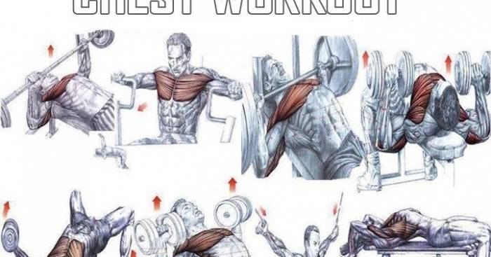 Как накачать внутреннюю часть грудных мышц: лучшие упражнения и рекомендации к тренингу | rulebody.ru — правила тела