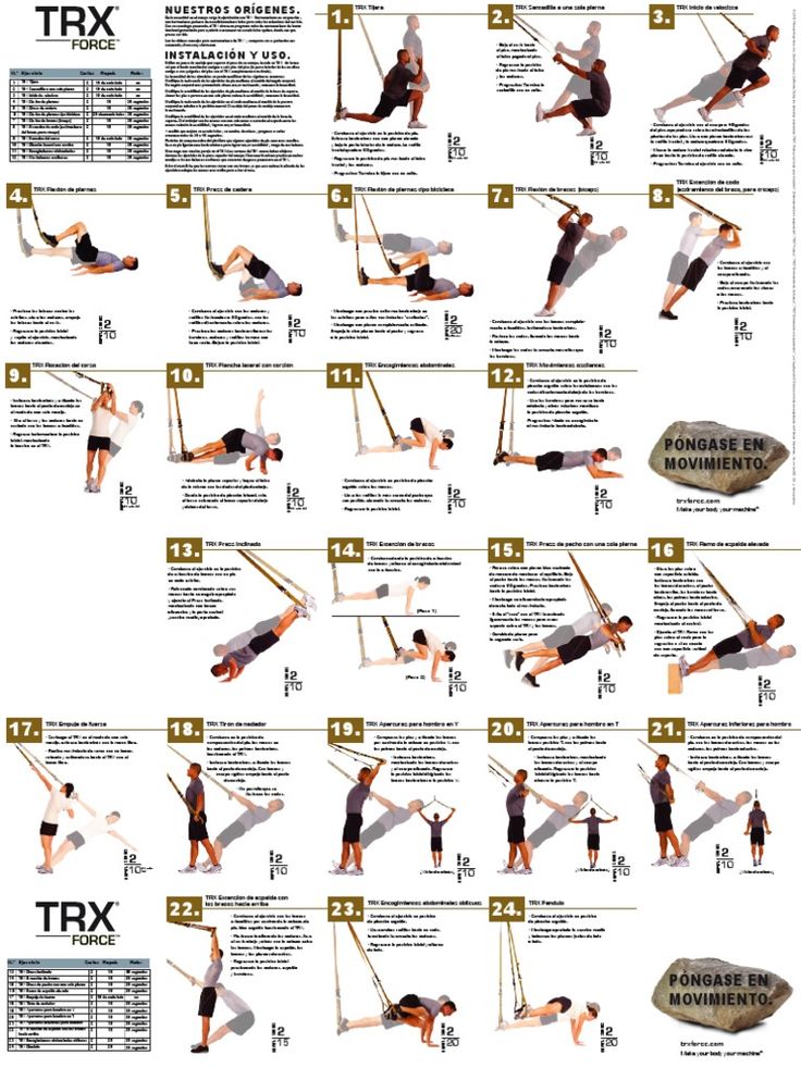 Петли trx: виды и техника выполнения упражнений для кроссфита
