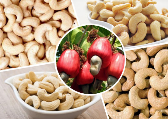 Кешью: польза и вред орехов для женщин и мужчин, калорийность, бжу