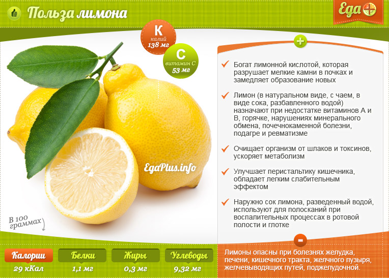 Лимон: польза и вред для организма, калорийность, бжу