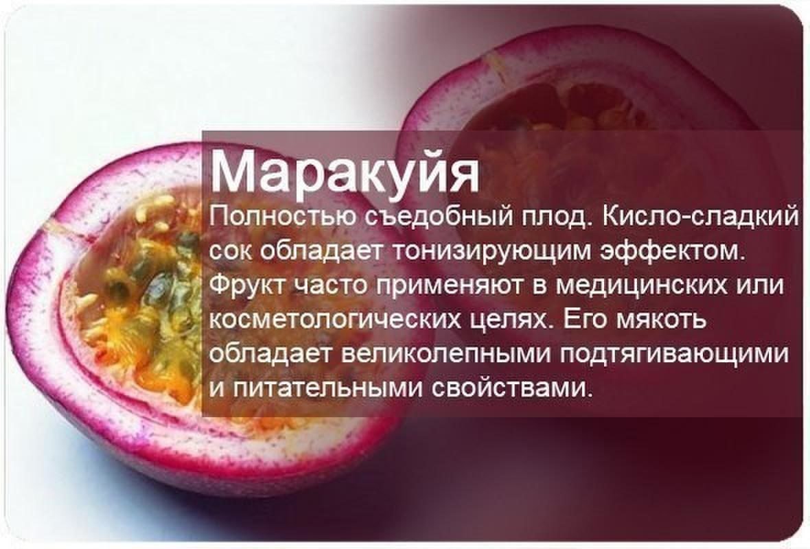 Маракуйя - полезные свойства и противопоказания, калорийность, состав. как есть маракуйю, рецепты. выращивание маракуйи в домашних условиях