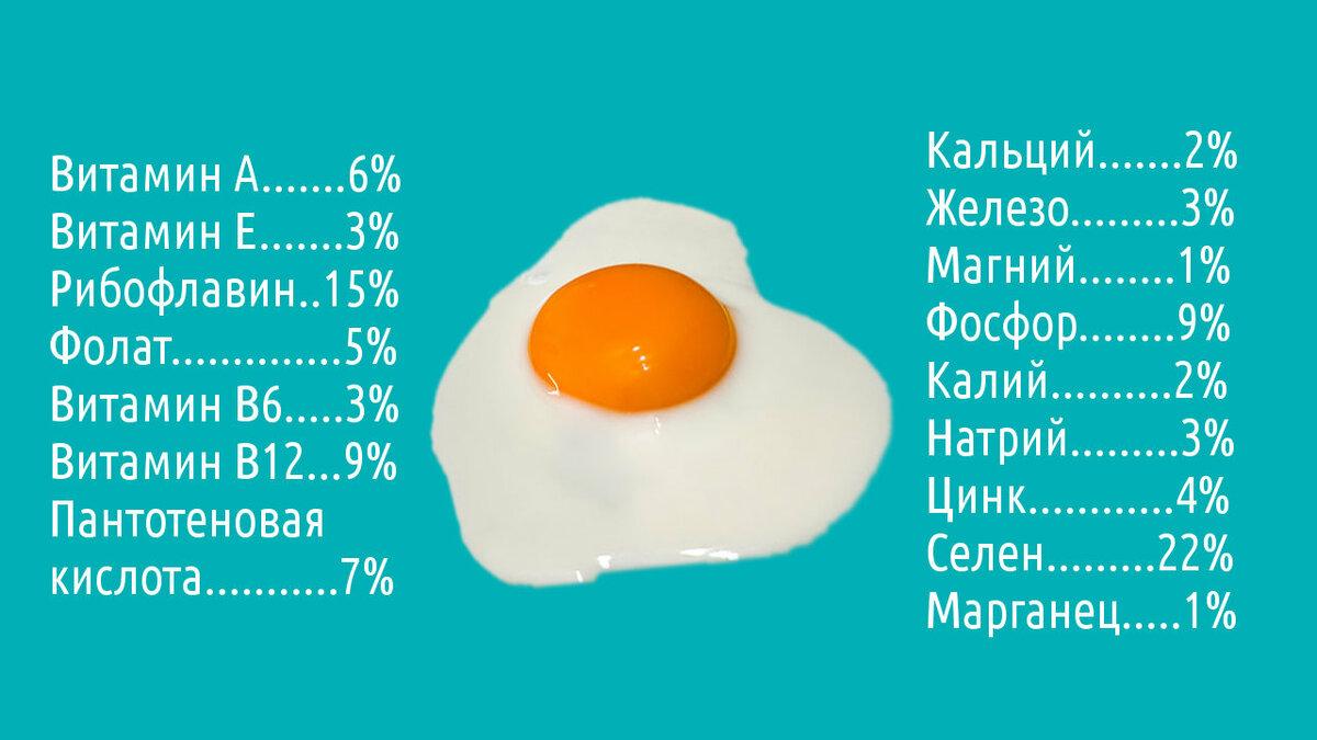 Сколько грамм белка в одном яйце?