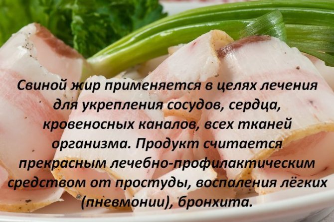 Свиной язык: польза и вред, калорийность, сколько варить, рецепты с фото