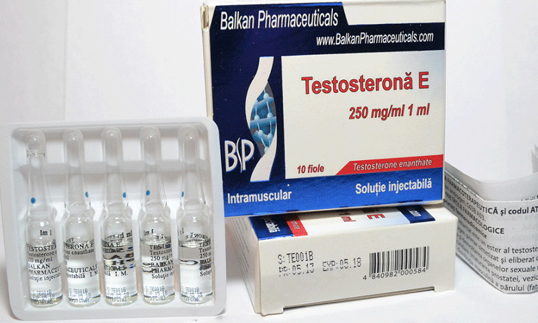 Тестостерон энантат — механизм действия и дозировка, побочные эффекты, противопоказания и аналоги