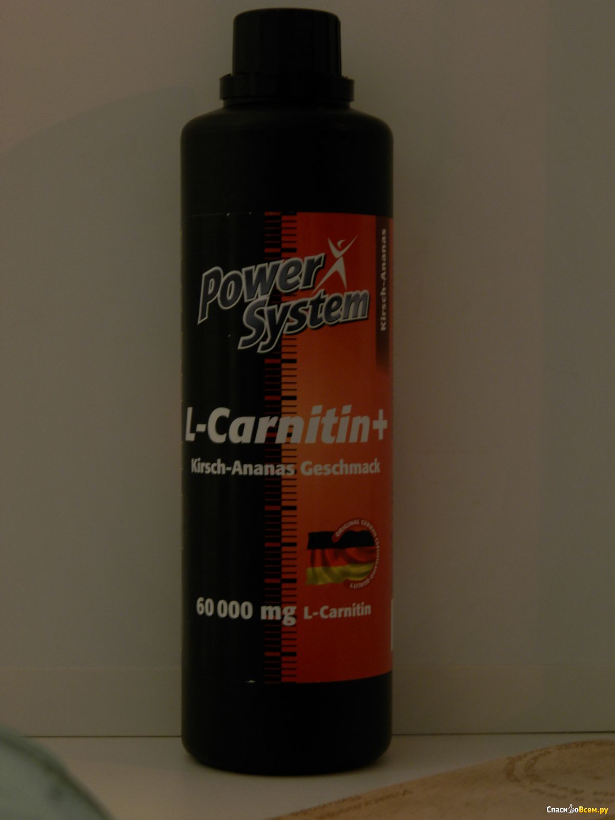 L-carnitin (power system)