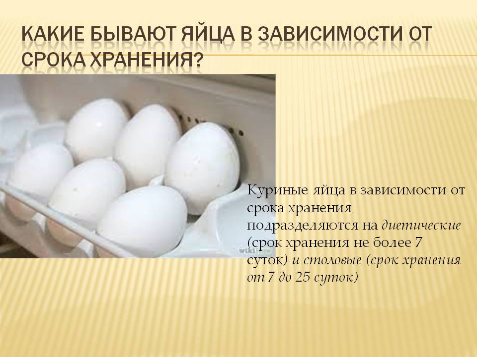 Гусиные яйца: польза и вред для организма