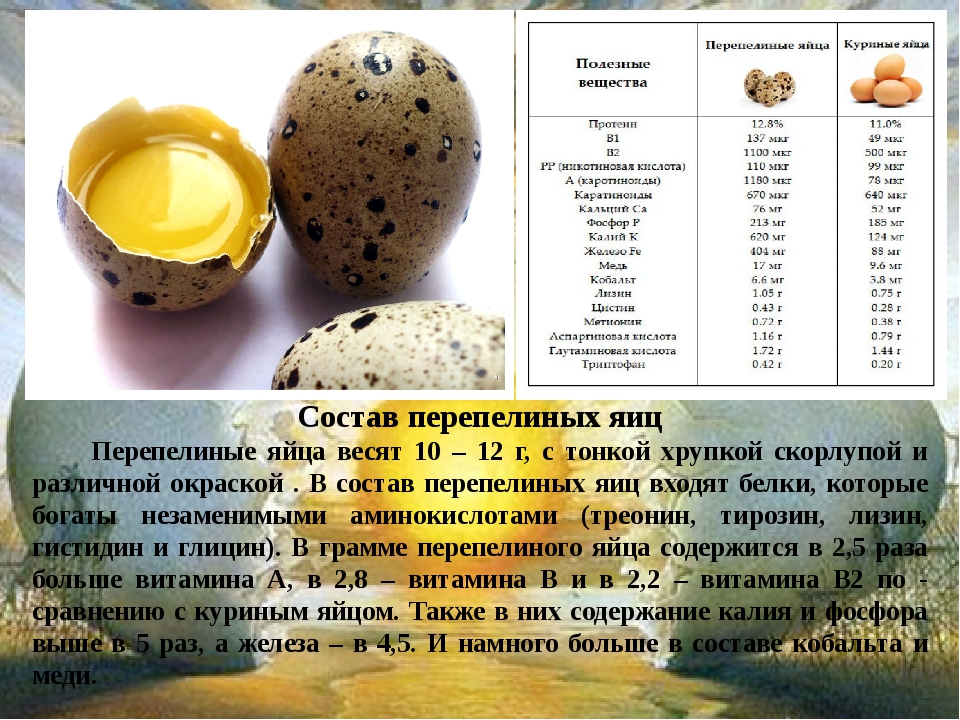 Страусиное яйцо: польза и вред, вкусовые качества, советы по приготовлению