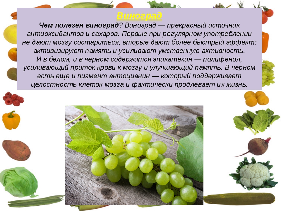 Виноград: польза и вред для организма человека